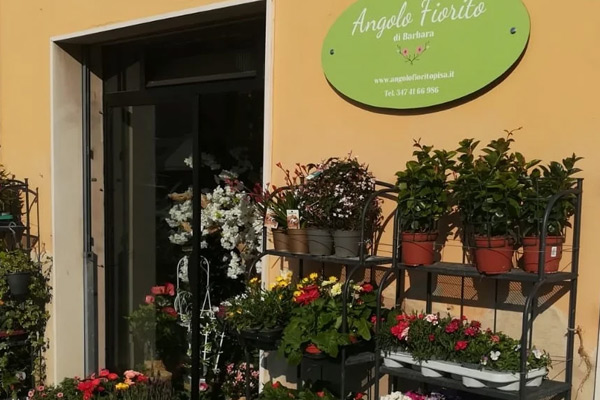 fiori Angolo Fiorito di Barbara
