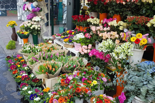 Colabella Flower's Shop Milano Fioraio