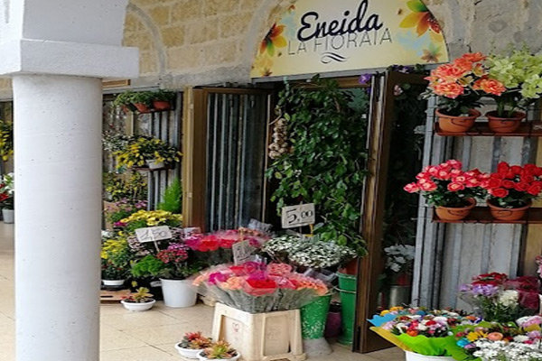 Fiorai Eneida La fioraia