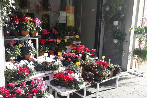 Fioreria Cafè Fleurs & C S N C fiores