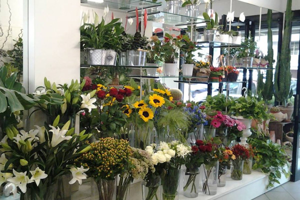 Fioreria di Patrizia Parigi fioraio