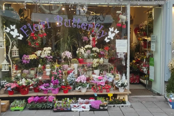 fioraio Fiori Butterfly