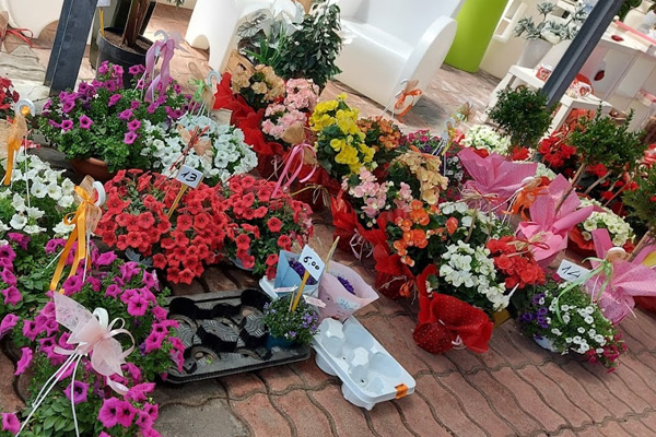 Fiorai Garden Idea Verde Di Fabio Rizzo & C