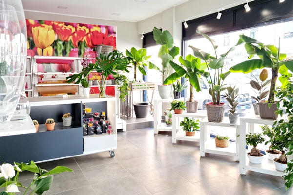 fiorari L'Oasi dei Fiori