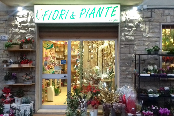 fioraio Verdi Voglie