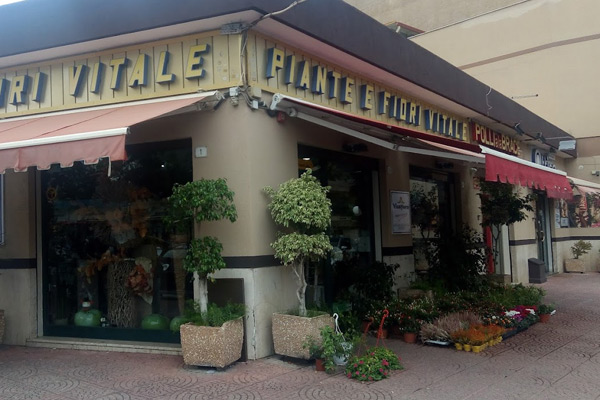 Vitalflora Di G. E A. Vitale Snc fioraio