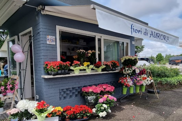 fiorai Fiori da Aurora