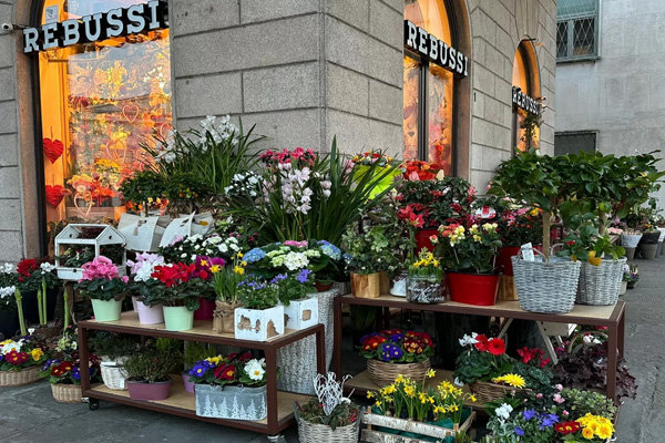 Fioraio Antica Fioreria Rebussi