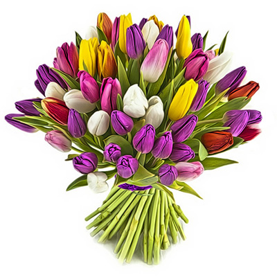 Bouquet di tulipani