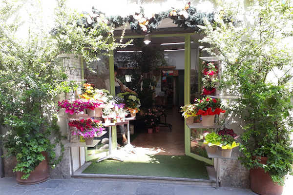 Fiorarte Di Amalia Malusardi Fioraio