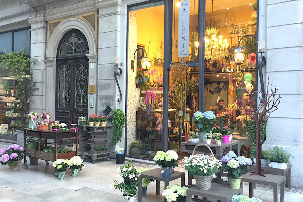 Fioreria Alloni fiori