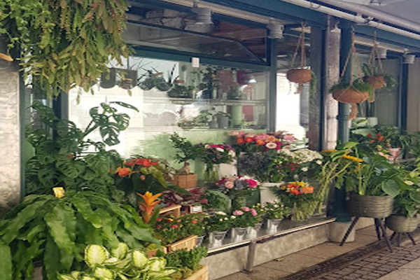 Fiori Victoria Fioraio