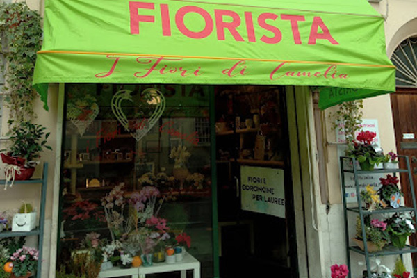 Fioraio I Fiori Di Camelia