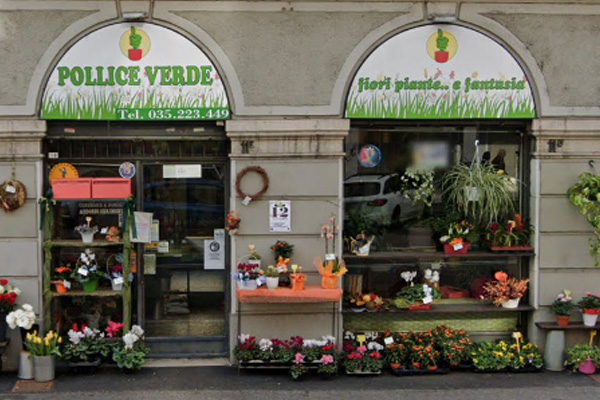 Fioraio Pollice Verde