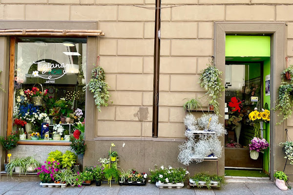 fioraio Tiziana Fiori