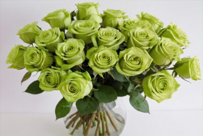 un bouquet di rose verdi