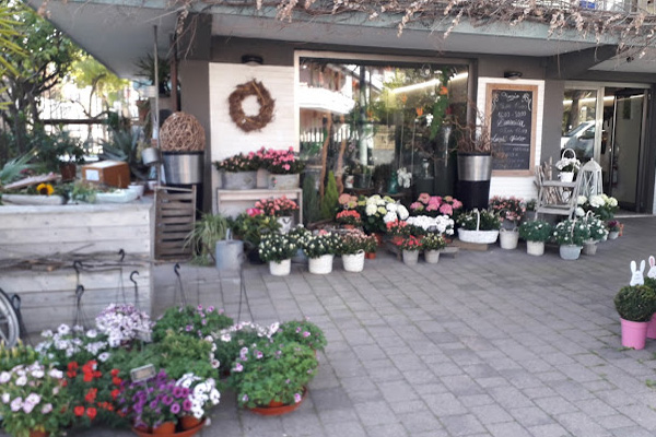 Fioraio Faieta Fiori