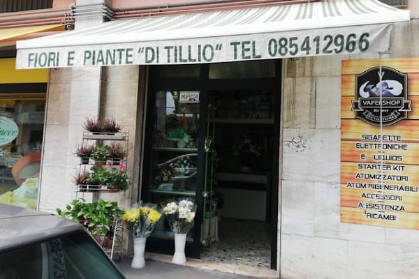 Fioraio Di Tillio Gina Fiori