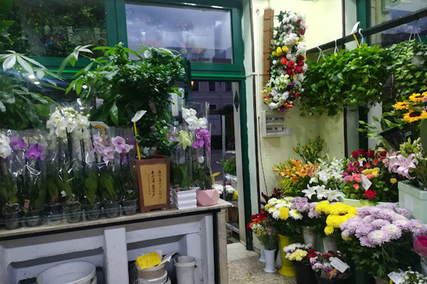 Fioraio La Gardenia di Gullo Paolo