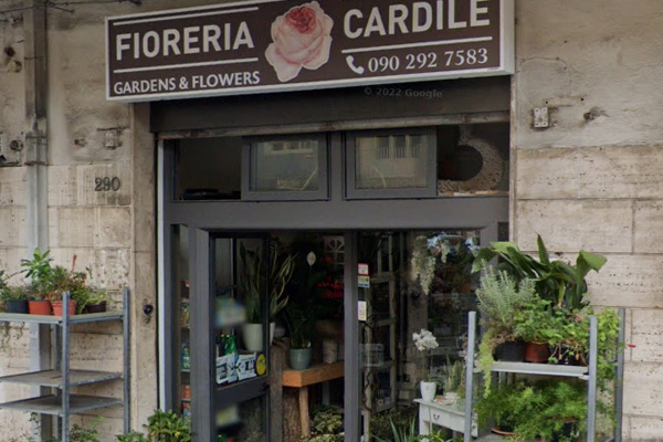 Fioreria Cardile Fiori