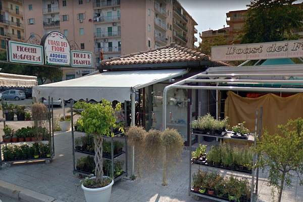 Fioraio L'Oasi Dei Fiori